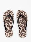 Chinelo De Dedo Feminino Petite Jolie Fresh Novo Moda Pj6969