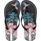 Chinelo De Dedo Ipanema Orla Tira Fina Macio Feminino Chinelo De Dedo Ipanema Orla Tira Fina Macio Feminino