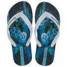 Chinelo Dedo Ipanema Temas Infantil Menino 25479 Chinelo Dedo Ipanema Temas Infantil Menino 25479