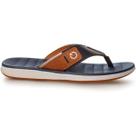 Chinelo Dedo Masculino Adulto Grendene Cartago 10954