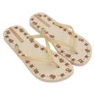 Chinelo Feminino Ipanema Day - Bege
