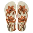 Chinelo Feminino Ipanema Oasis Confortável Lançamento Novidade