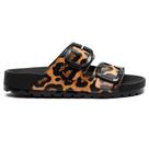 Chinelo Feminino Lovin Flat Preto Animal Print Petite Jolie PJ7289 Chinelo Feminino Lovin Flat Preto Animal Print Petite Jolie PJ7289