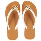 Chinelo Feminino Petite Jolie Fresh Básico Tendência Original Pj6979