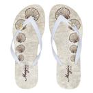 Chinelo Feminino Praia Slim Adulto Concha Magicc CH-245 Chinelo Feminino Praia Slim Adulto Concha Magicc CH-245