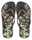 Chinelo Femnino Ipanema Oasis De Dedo 26571