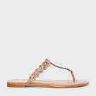 Chinelo Flat Carrano 699030