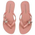 Chinelo Giulia Domna Havaí Estrela do Mar