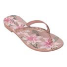 Chinelo Grendha Amor em flor 19086 Feminino