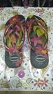 Chinelo Havaianas Flowers Chinelo Havaianas Flowers