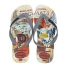 Chinelo Havaianas Top Clássicos Warner Harry Potter Cinza Chinelo Havaianas Top Clássicos Warner Harry Potter Cinza