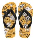 Chinelo Havaianas Top Kids Disney Infantil