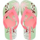 Chinelo Infantil Ipanema Fantasia Feminino Chinelo Infantil Ipanema Fantasia Feminino