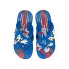 Chinelo Infantil Sonic Iconic Way Super Flop II