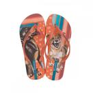 Chinelo Ipanema 27005bm Love Pets Feminino