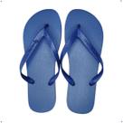 Chinelo Ipanema Básica Feminina - 06466