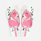 Chinelo Ipanema Fantasia Infantil Flamingo Verde