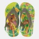 Chinelo Ipanema Jurassic Color Baby Com Elástico Verde
