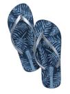 Chinelo Ipanema Oasis