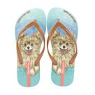Chinelo Ipanema Pets Pop Marrom/verde