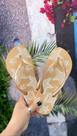 Chinelo Ipanema Stars Bege/Dourado