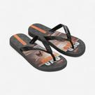 Chinelo Ipanema Temas Infantil Cinza Escuro Chinelo Ipanema Temas Infantil Cinza Escuro