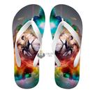 Chinelo Leão multicolorido