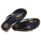 Chinelo Masculino Cartago Lyon IV