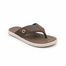 Chinelo Masculino Cartago Marrom Anatômico -