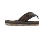 Chinelo Masculino Dedo Cartago Fijii Marrom