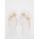Chinelo Petite Jolie Fresh Estrelas PJ7634