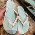 Chinelo planet girls feminino / trabalhamos com sal e pimenta luxo maryland pimenta doce bubu