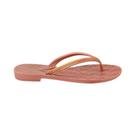 Chinelo Terra & Agua Prata