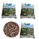 Chip de coco kit com 3 pacotes premium