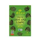 Chips Couve Kale Limão Orgânico Alkimia 10g