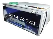 Chocadeira Automática E Ovoscópio 100 Ovos 100Ch110 110V Ecochocadeiras