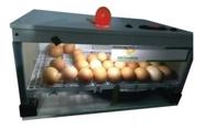 Chocadeira Automática E Resistência 50 Ovos 50Ch110 110V Ecochocadeiras