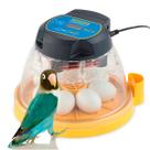 Chocadeira digital automática controle de umidade - Brinsea Mini II EX para 12 ovos