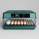 Chocadeira Incubadora Elétrica Automática Até 48 Ovos 127V Com Rolagem Automática Ovoscópio Controle de Umidade Aves Galinha Pato