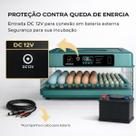 Chocadeira Incubadora Elétrica Automática Até 48 Ovos 220V Com Rolagem Automática Ovoscópio Controle de Umidade Aves Galinha Pato