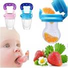 Chupeta Mordedor Alimentadora Bebê De Silicone Porta Fruta
