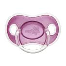 Chupeta Neopan Bico Ortodontico Tamanho 2 Perolado Roxo
