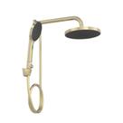 Chuveiro c Desviador Deca Flex Max SummerGold 2085.SM.DES.MT
