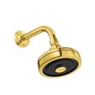 Chuveiro com tubo de parede curvo Acqua Plus Gold Deca 1990.GL.STD Chuveiro com tubo de parede curvo Acqua Plus Gold Deca 1990.GL.STD