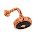 Chuveiro de Parede Acqua Plus Com Tubo Red Gold - Deca Chuveiro de Parede Acqua Plus Com Tubo Red Gold - Deca