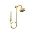 Chuveiro Deca 1990 GL STD Kit Acqua Plus Gold Chuveiro Deca 1990 GL STD Kit Acqua Plus Gold