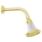 Chuveiro Deca Windsor Dourado Com Tubo - 1994D81CT Chuveiro Deca Windsor Dourado Com Tubo - 1994D81CT