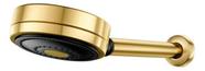 Chuveiro Ducha Technoshower Docol Ouro Polido 01204843