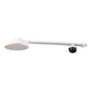 Chuveiro Plastico Com Reg Nº 04 Branco - Rebouças Plasbohn