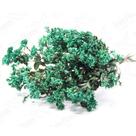 Chuvisco Flor Desidratada Buque Flores Secas